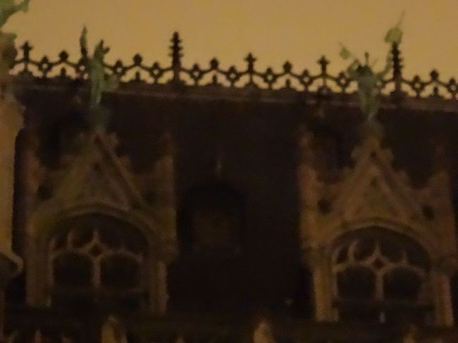 『王の家』（グランプラス北東側）<br /><br />王の家は、美しいファサード<br />（建築物の正面の外観）をもつ石造りの館です。<br /><br />写真は、天窓上に並んだ8つの像の一部で、<br />ベルギーが独立した際に8州からなる国であった<br />ことに由来しています。<br /><br />ピントが合っていませんね・・・^_^;