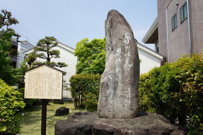 こちらの松根東洋城句碑は、伊達博物館の敷地内。松根東洋城は、父は宇和島藩家老松根図書の長男、母は宇和島藩主伊達宗城の2女の子供として、東京築地に生まれました。俳句は、夏目漱石、正岡子規に学び、高浜虚子とは同世代にあたり、多くの俳人を育てたそうです。 <br />刻まれた句は、「我が祖先ハ奥能最上や天の川」。伊達家に従って、宇和島に来た祖先を思った句だと思われます。<br /><br />