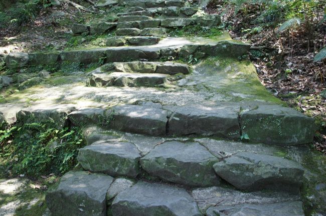 その分、足場が安定しないので、けっこう登りにくいですね。