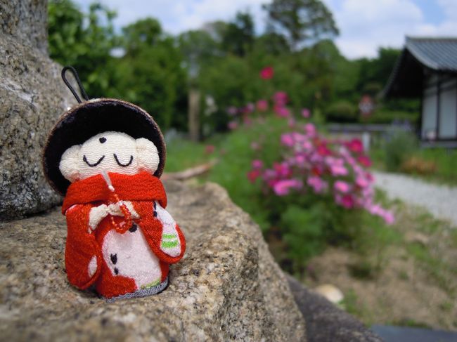 「ここでは石仏より私の写真の方が多いわね」