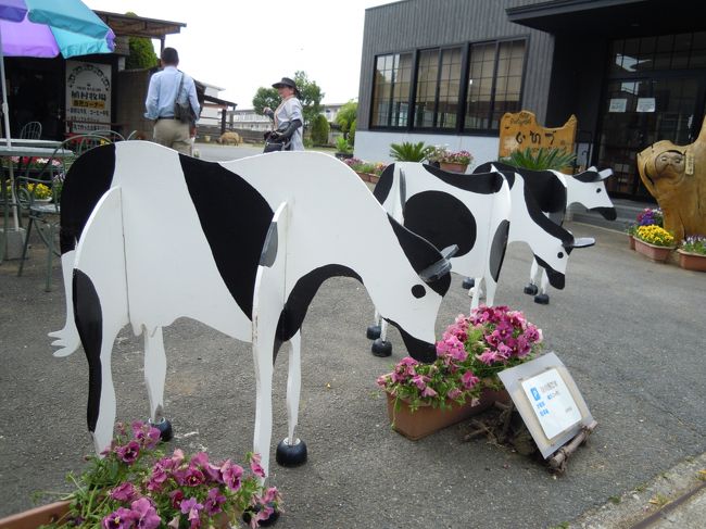 しかし、現世に生きる私たちは現世の欲望に突進します。<br /><br />楼門前にある植村牧場でソフトクリームを食べるのもコースに入っているのです。