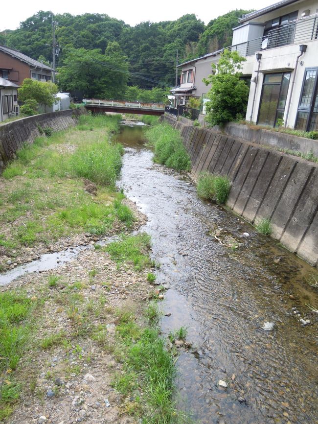 『万葉集』によく詠われている佐保川。<br /><br />佐保川を渡って恋人に逢いにいく、、、なんてロマンティックな歌もあったけれど、今では全然良くない川なので興ざめです。<br />