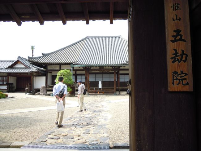 はな☆さんの後について行く先に五劫院。<br /><br />東大寺の北御門にあったと言われているお寺で私は今回初めてきました。<br />ここのアフロヘアーの阿弥陀仏が私たち仲間ではかなり有名なのです。<br />事前に連絡すれば拝観できるようです。<br /><br />五劫って、気の遠くなるほど長い時間なのです。<br />それほど長い間修行を重ねたので螺髪がアフロヘアーになってしまったそうです。<br />アフロヘアーの阿弥陀様は見たことありますが、いつか五劫院でお目にかかりましょう〜