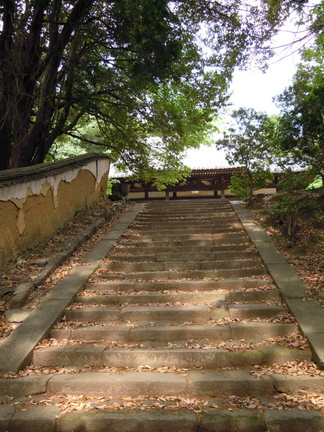 三笠温泉・若草山へのドライブウェーのある裏手から東大寺に入ります。<br /><br />次にはな☆さんが案内したのは知足院です。<br /><br />写真ではこの古色然とした石段を見たことがあり、階段から見上げたことはありましたが、上ったことはありませんでした。<br /><br /><br />はな☆さん以外は皆初めて上るのではないかしら。<br />「これは良さそう」<br />と皆勇んでざ知足院へ。