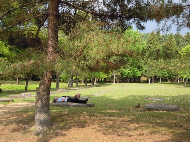 塔跡の礎石の上で眠るカップル。<br />天平の夢でも見ているのでしょうか・・・日本人ではないけれど。