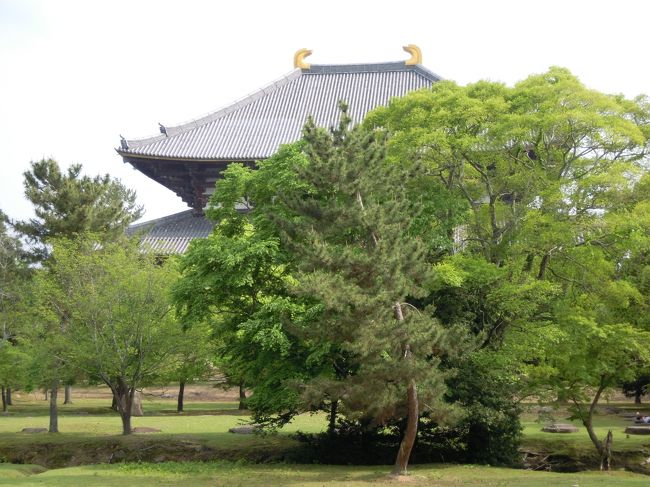 正倉院を過ぎ、大仏殿の裏側にでました。<br /><br />