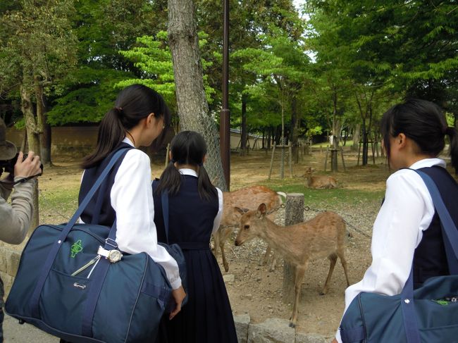 修学旅行のメッカですから、修学旅行生がいっぱい。<br /><br />懐かしいな〜あの頃が。<br /><br />中学も高校の修学旅行は奈良・京都でした。