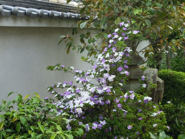 お堂で阿弥陀如来立像、観音・勢至菩薩のお話を聞き、本番オフ会の場所に向かいました。