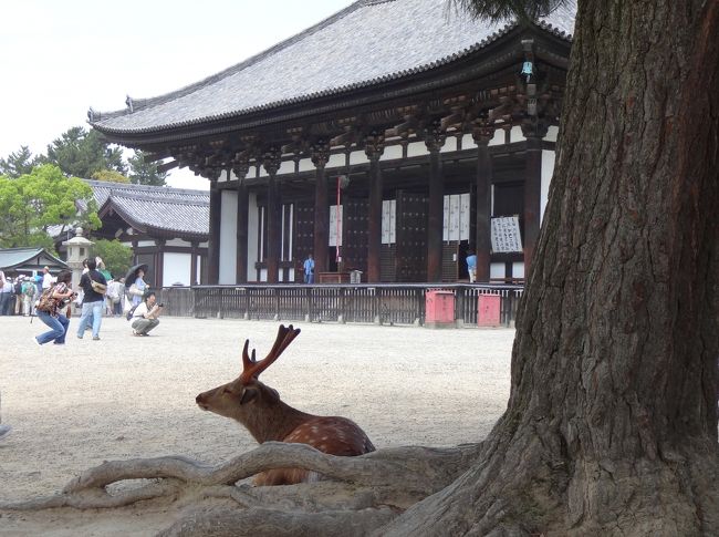 涼しい木陰でまったり(^.^)