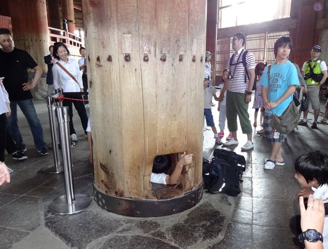 柱くぐり。<br /><br />この穴は大仏様の鼻の穴と同じ大きさだそうです＾＾<br /><br />「厄除け」とか「頭がよくなる」とか言われています＾＾<br /><br />この穴に入るかどうかがも・ん・だ・いどす(-.-)