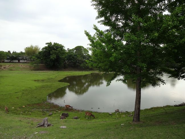 正倉院の近くです。