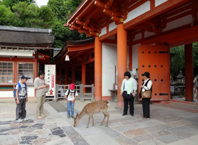 鹿さんこの門の中へは入っちゃいけなかったみたいで、のんびりしているかに見えるこのすぐ後、神職の方の姿が見えるや否や、門からさっと走り去っていきました\(~o~)／<br /><br />楽しい奈良のお散歩でした。また来ます（*^_^*）