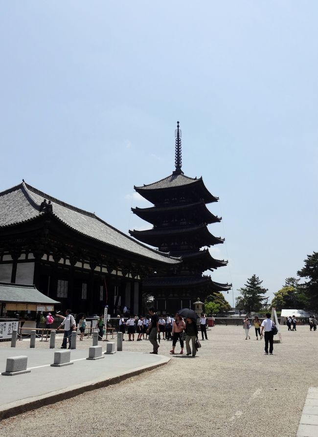 まずは興福寺へ。<br /><br />