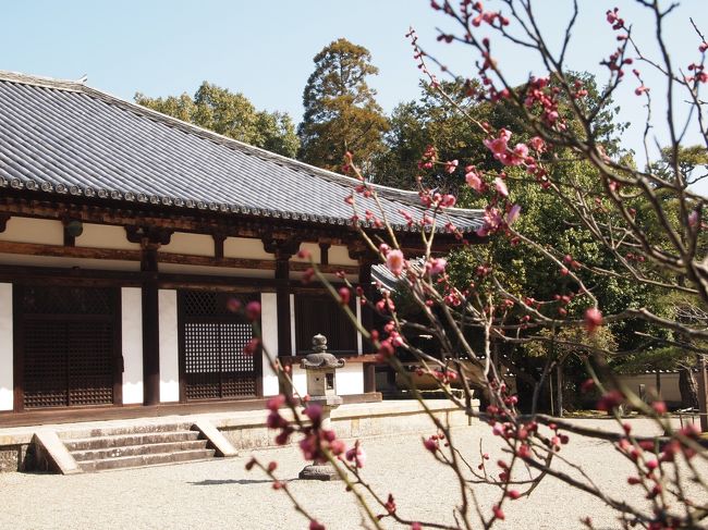 本堂<br /><br />美しい伎芸天は本堂に。<br />ご本尊は薬師三尊像。<br /><br />