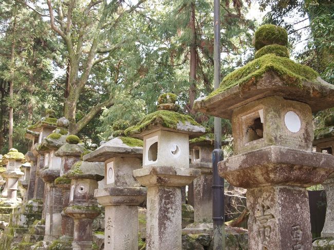 参道を進む。<br />