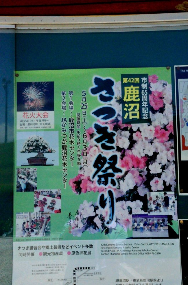 鹿沼のさつき祭り 鹿沼 栃木県 の旅行記 ブログ By 玄白さん フォートラベル