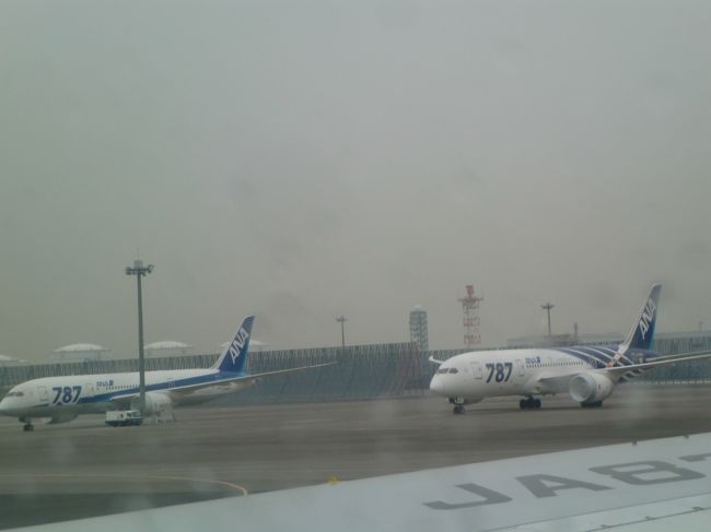 羽田空港には、バッテリートラブブルで運行停止になっている<br />B787が出番を待つかのように並んでいた。