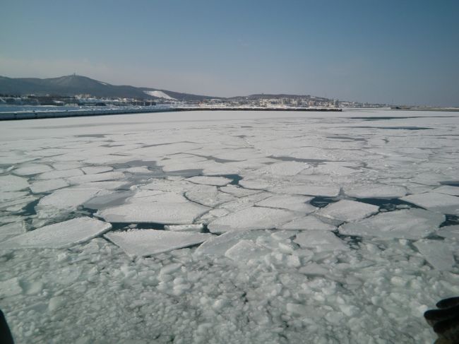 15分ほどで流氷が見えてきた。