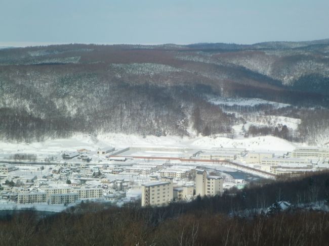 網走刑務所を見下ろすことができる。<br />右側奥の建物一帯が刑務所内で、その手前にある赤く連続しているのが塀。