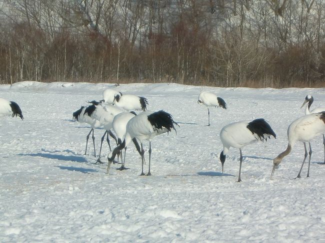 白と黒のツートンのシンプルな出で立ちが、優雅に見える。