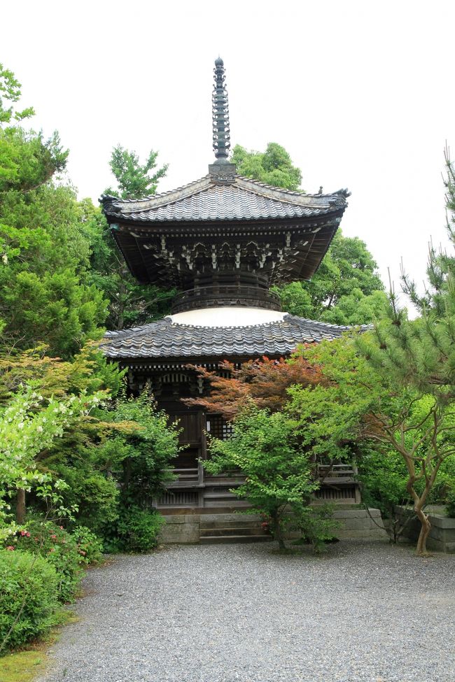 京都府美山町かやぶきの里 北村から自然文化村のバラ園へ。帰途、亀岡市の西国三十三ヶ所第二十一番札所である穴太寺に参拝しました。