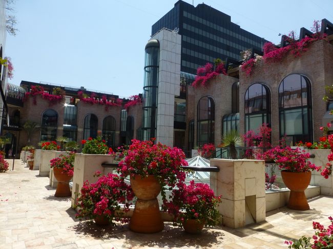 やっぱりコーヒーを飲み過ぎたらしい。<br /><br />トイレを借りたくてショッピングセンターのような建物に行ってみたけど、トイレは無く…。<br /><br />でもお花が綺麗でした〜。<br /><br />この後ラックスホテルに移動してトイレを借りました。<br /><br />ラックスホテルのロビーでは無料のwi-fiが利用出来ました。<br />ロビーと言っても椅子は無いですけどね。<br /><br />こちらのカフェで甘い物でもと思って聞いたら、こちらにはデザートは無いとの頃でした。