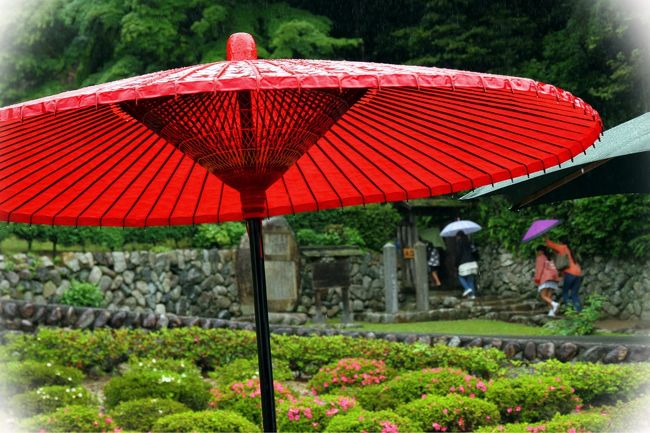 ▼吉水園<br /><br />　紫陽花撮りでけっこう満足したのですが、目的はモリアオガエル見物でしたから吉水園へ入園します。<br />