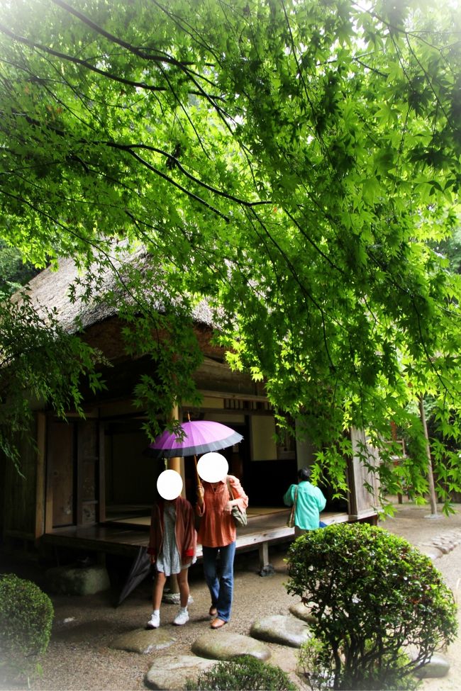 ▼吉水園　吉水亭<br /><br />　気温が低いのでモリアオガエルは出ていないようです。<br />　すがたを見つけたのは３匹でした。