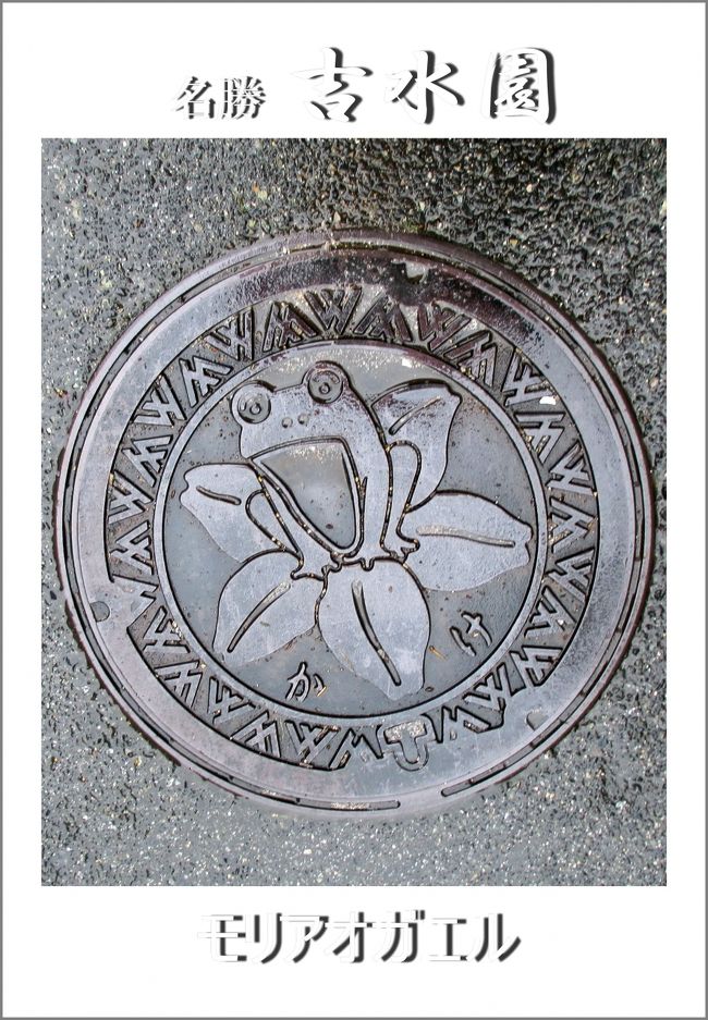 ▼吉水園　マンホール　<br /><br />　旧加計町の「町花」はツツジだったのでカエルが座っている花はツツジかな。