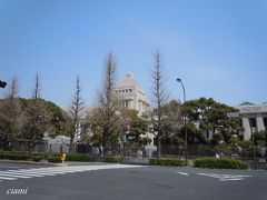 日枝神社出たら、国会の裏側。
 
横断歩道渡ったら、たまたま見学の申込所。　入ってみちゃう？
 