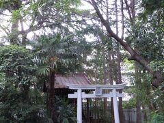 高木神社。

大隈重信も毎日お参りしてたって。

早稲田に入りたかったら、ここにお参りするのがいいのかも。