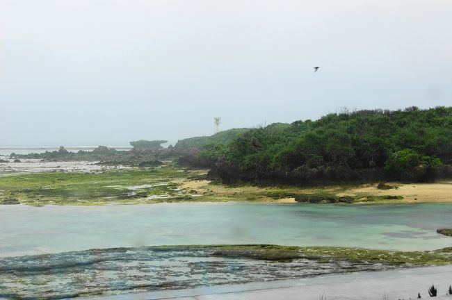 フクギ並木を抜けると、<br /><br />エメラルドグリーンの海岸が広がっています-~)ノ<br /><br />ここらで後編へ続く♪