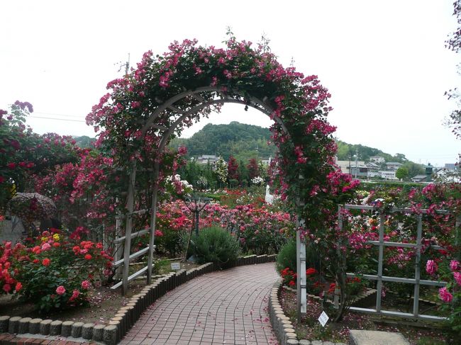 薔薇庭園