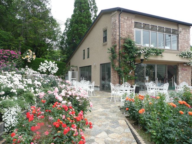 薔薇庭園<br /><br />プリエール<br /><br />バラの開花時期のみのオープンです。