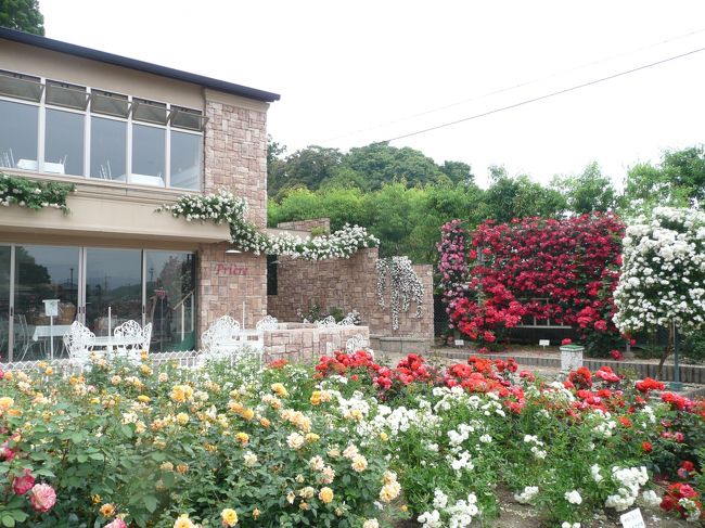 薔薇庭園<br /><br />プリエール<br /><br />１０時から４時です。まだ時間が早かったので開いていません。