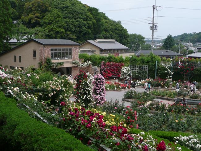 薔薇庭園