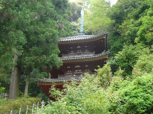 松尾寺
