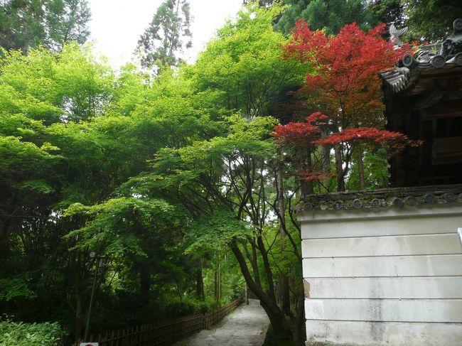 松尾寺<br /><br />こちらの筋塀は、５本ですね。