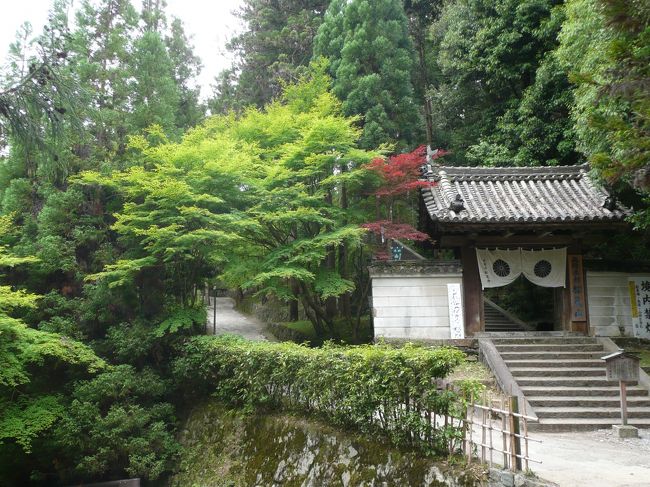 松尾寺<br /><br />このあたりは、毛虫が大量発生しているようです。マイマイガの幼虫が、ニュースになるくらい大量発生です。ニュースでは、生駒市と交野市の付近だそうですが、このあたりでも目立ちました。写真を撮るのもやめました。少々グロです。手すりを一列縦隊で並んでいる様子は・・・<br /><br />このあと大和郡山へ行きました。<br />