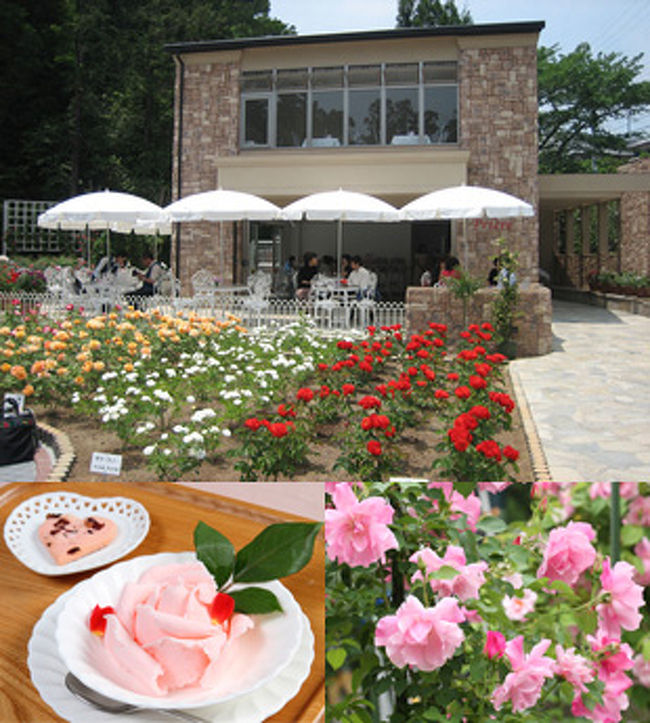 薔薇庭園<br /><br />ティーテラス　プリエール<br /><br />バラの花の形のアイスクリームがイチオシ！<br />