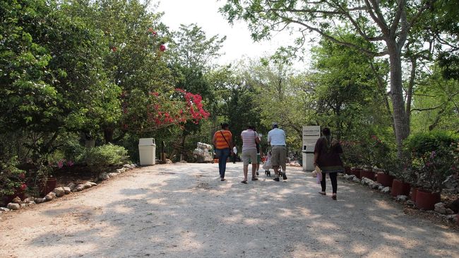 こんな道を歩いて行くと…