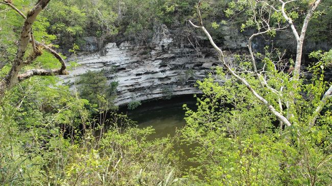 チチェン・イッツァ内にもセノーテがあります。<br />もう水はかなり干上がっていて濁っています。