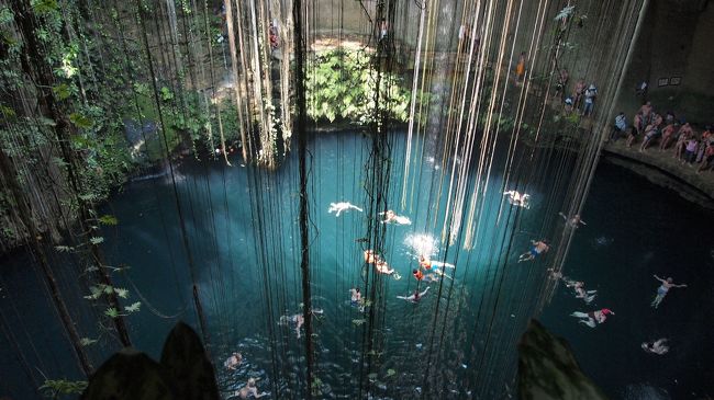 すごい神秘的！！早く潜りたい！！<br /><br />ちなみにセノーテの滞在時間は1時間程度でしたので、<br />セノーテに入った女性は私だけでした。<br />ビール飲んだあとだけどね。<br /><br />男性は結構気軽に皆さん潜っていました。