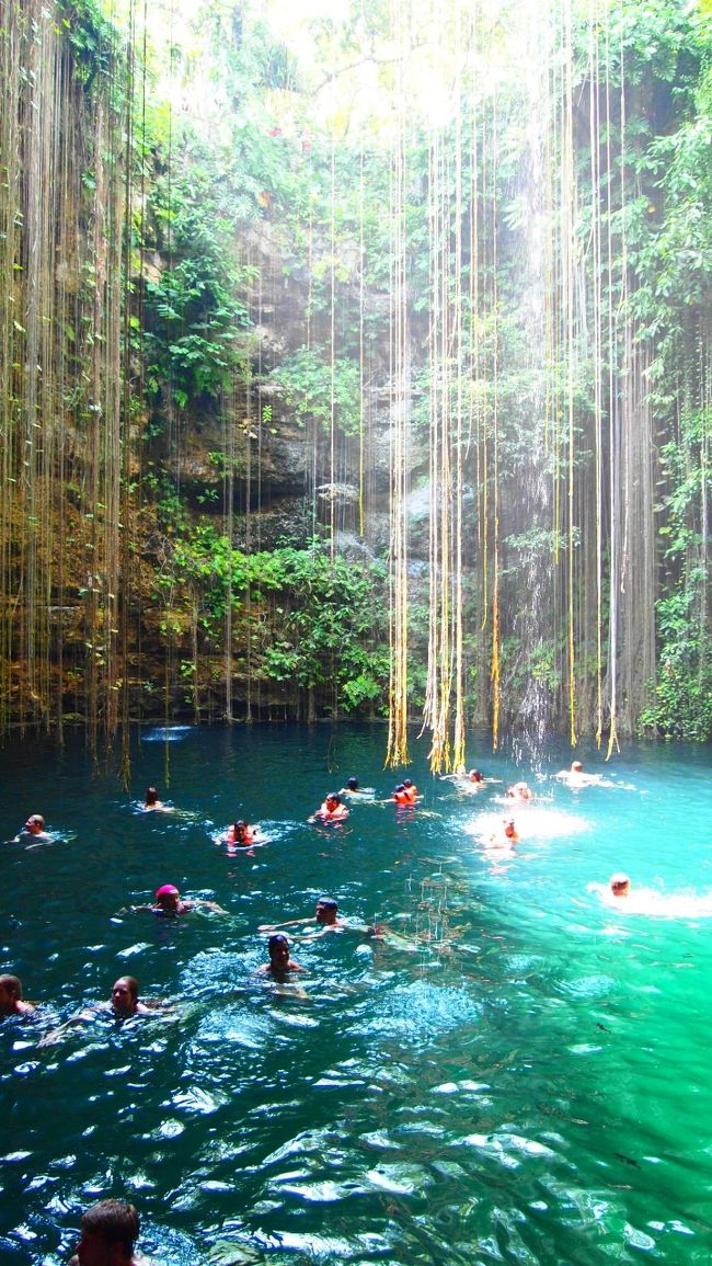 じゃ〜〜ん！！！！<br />すごい〜〜！！<br />これは海より感動的かも！<br /><br />弾丸トラベラーを見てからずっと来てみたかったセノーテ！