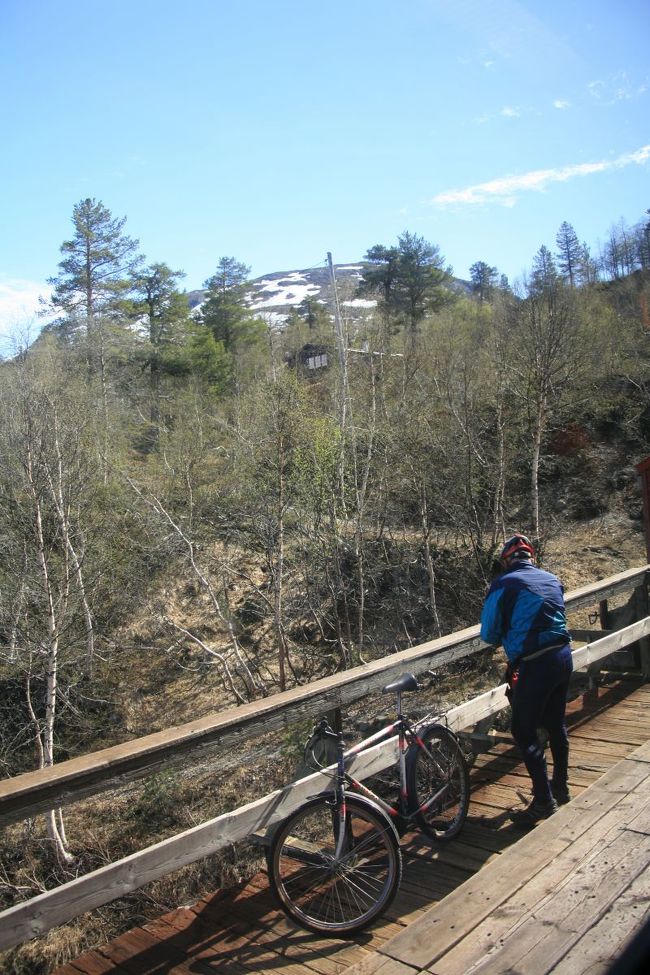 ミュルダールの一つ手前の駅<br /><br />自転車とともに、一人の男性がおりた<br /><br />この自然の中をサイクリングするのだな