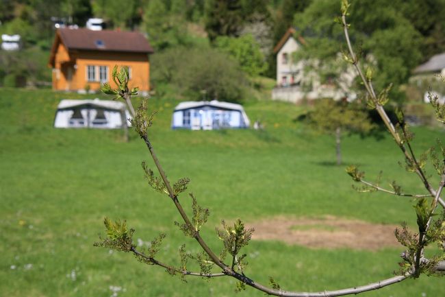 歩き出しました　気持ちいい<br /><br />木々も目覚めたところ