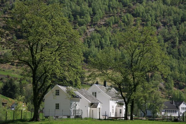 新緑に囲まれた真っ白な家<br /><br />これも絵ハガキみたい