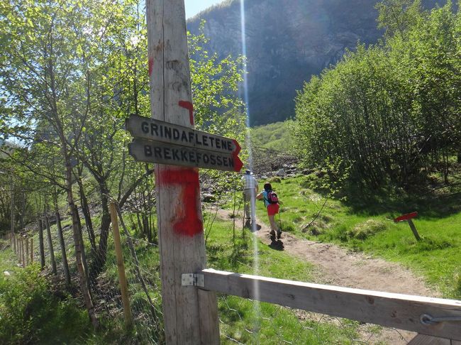 ようやくゲートに到着<br /><br />ここから滝に向かって登ります