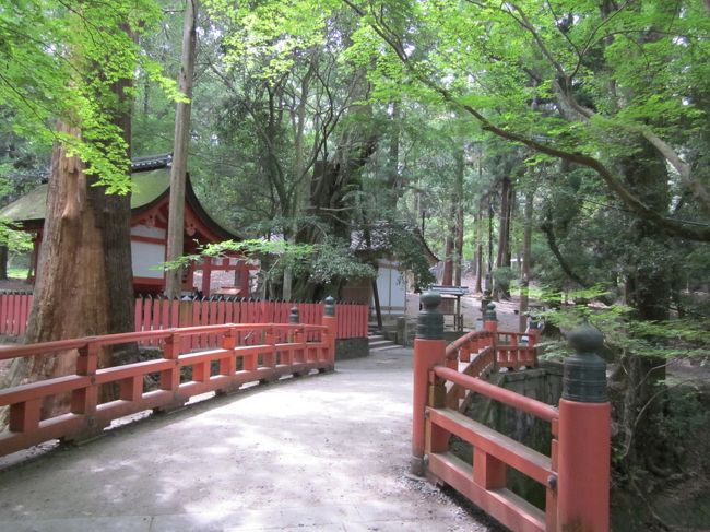 レストランの方には曲がらずそのまま直進すると水谷橋<br />