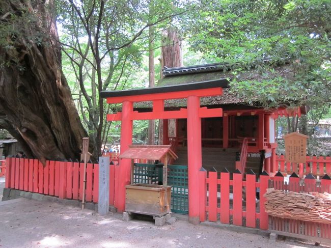 さらに進むと水谷神社です。<br /><br />手前に水谷茶屋がありますが本日は水曜でお休みです。